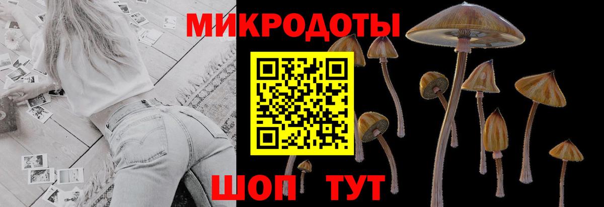 Галлюциногенные грибы MAGIC MUSHROOMS Карпинск